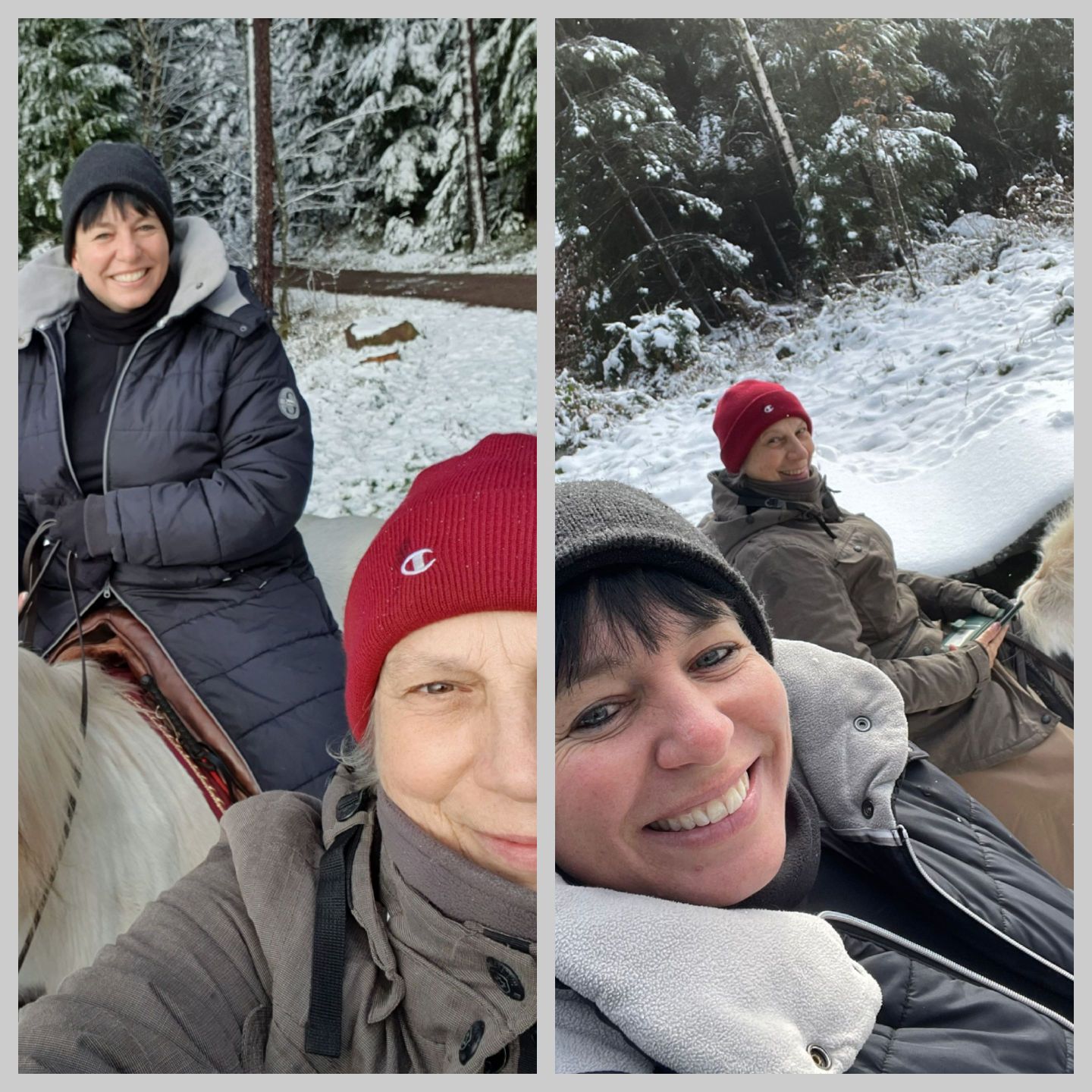 2023 11 November 619